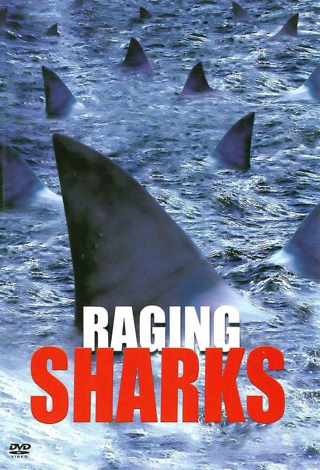 Raging Sharks