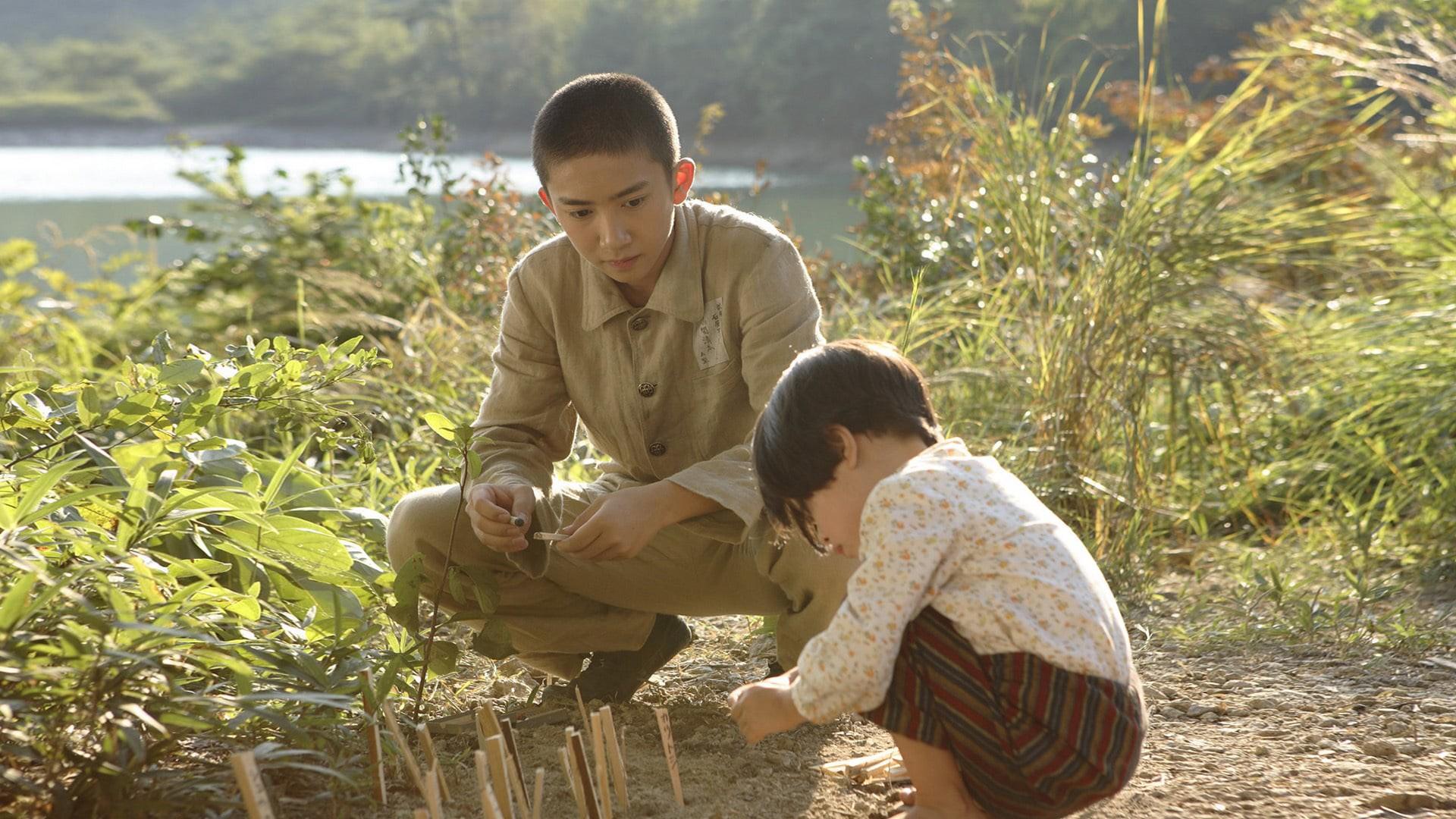 Grave of the Fireflies