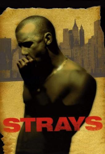 Strays