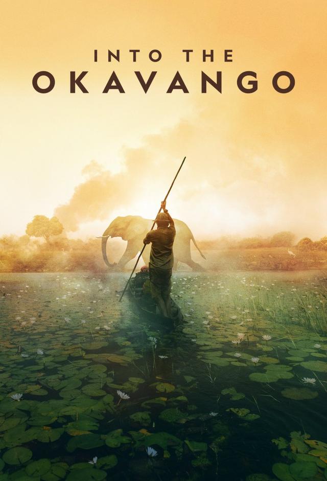 Into the Okavango