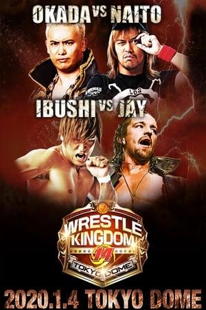 NJPW Wrestle Kingdom 14: Night 1