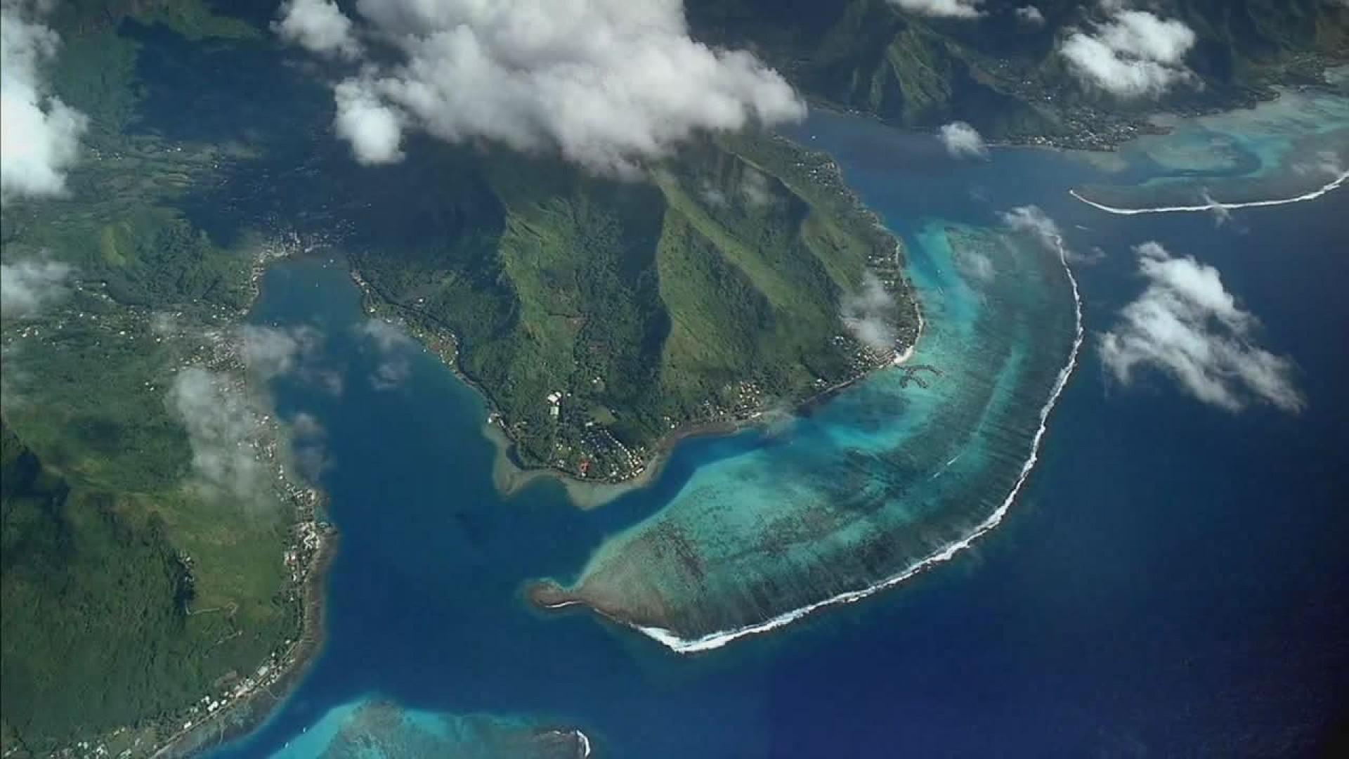 Coral Reef Adventure