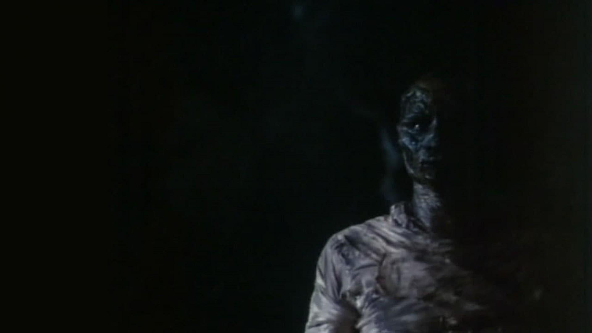 Dawn of the Mummy