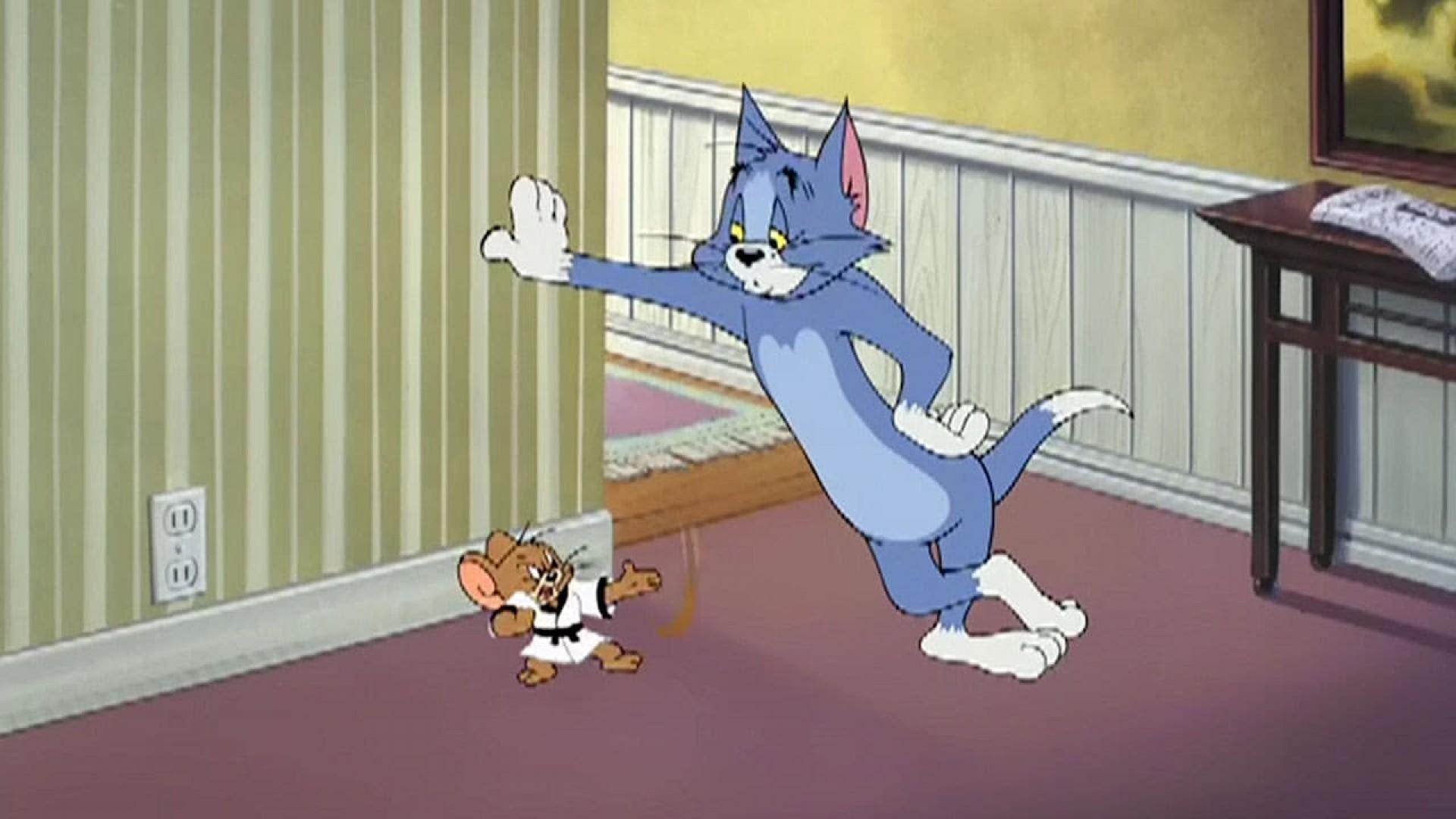 Tom and Jerry: The Karate Guard