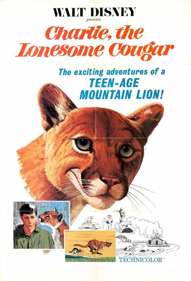 Charlie, the Lonesome Cougar