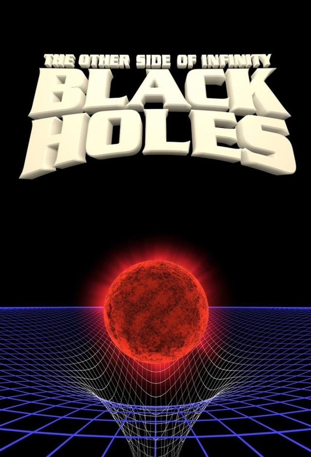 Black Holes: The Other Side of Infinity