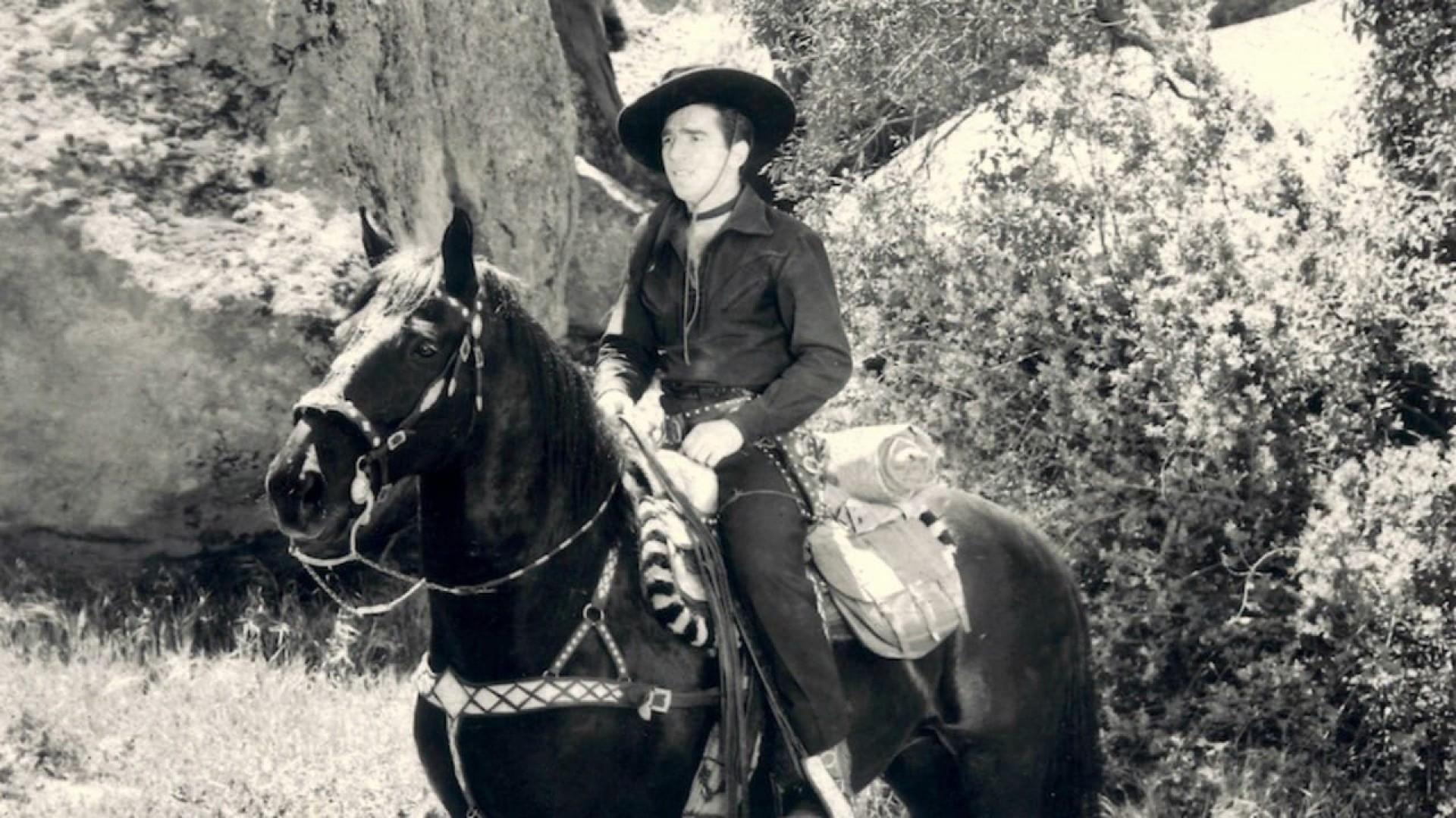 King of the Bullwhip