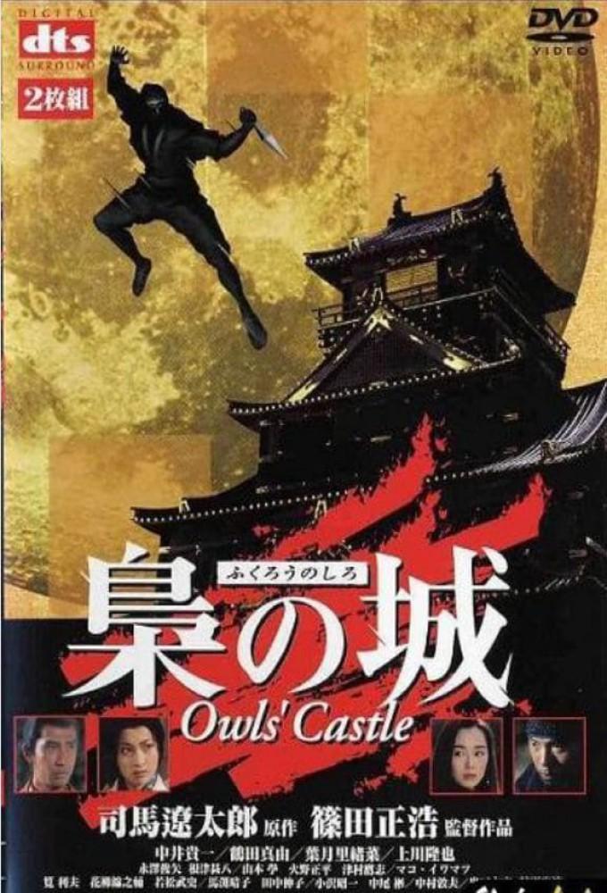 Owls' Castle