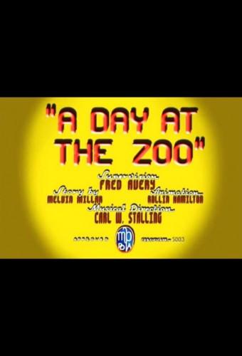 A Day at the Zoo