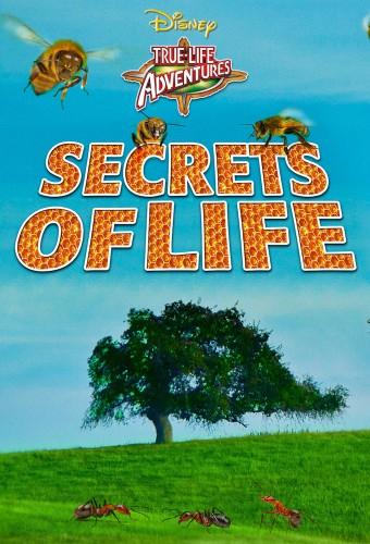 Secrets of Life