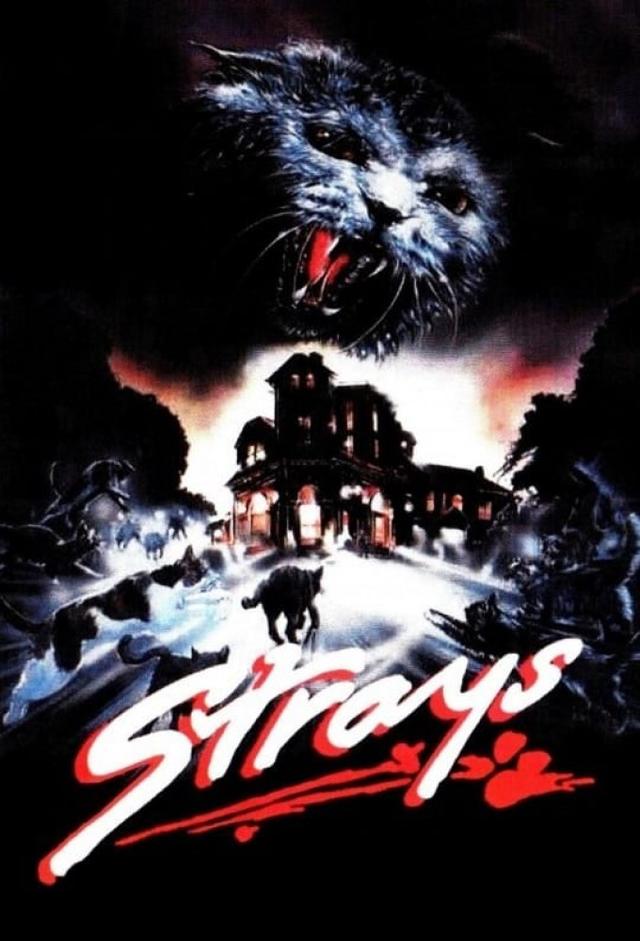 Strays - Blutige Krallen