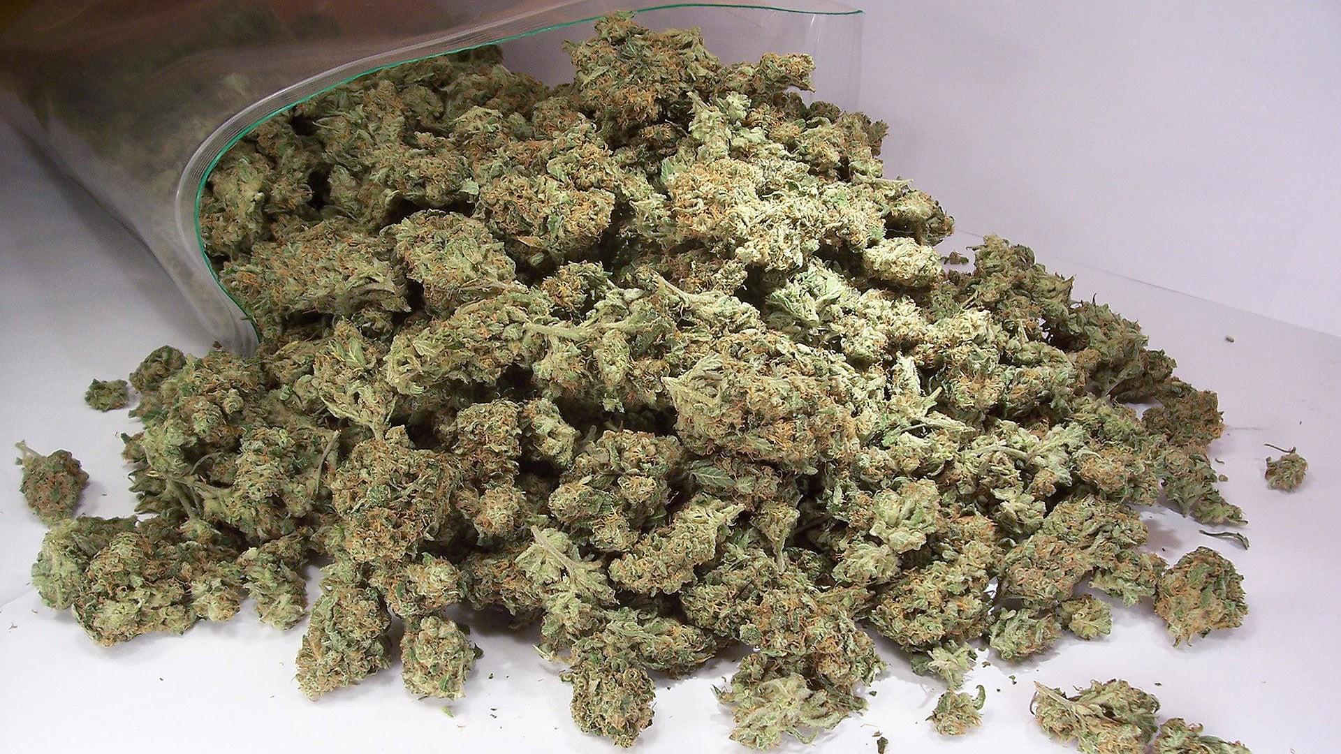 How Weed Won the West