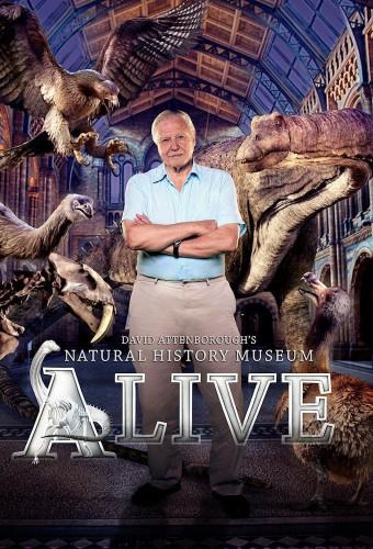 David Attenborough's Natural History Museum Alive