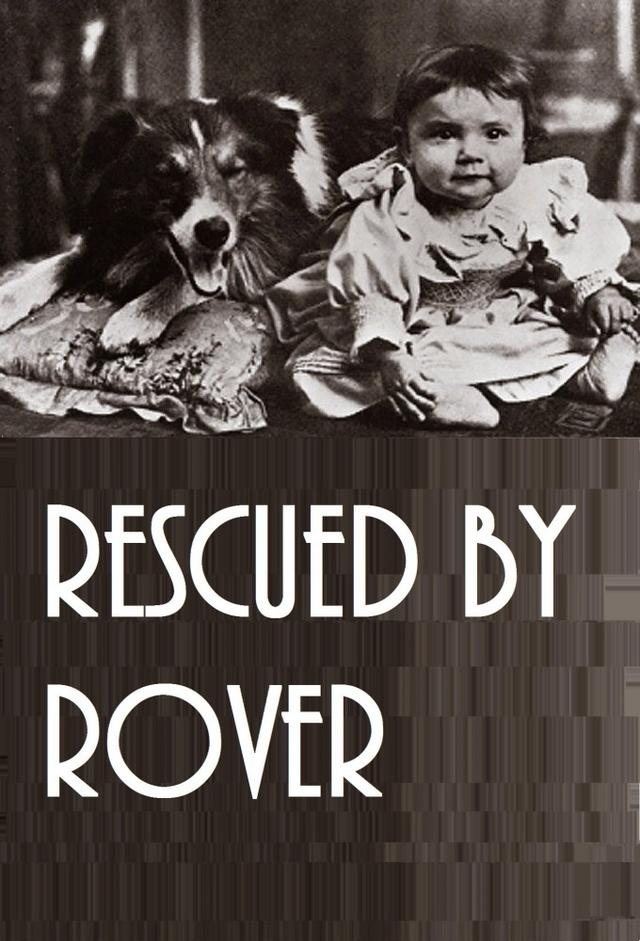 Rescued by Rover