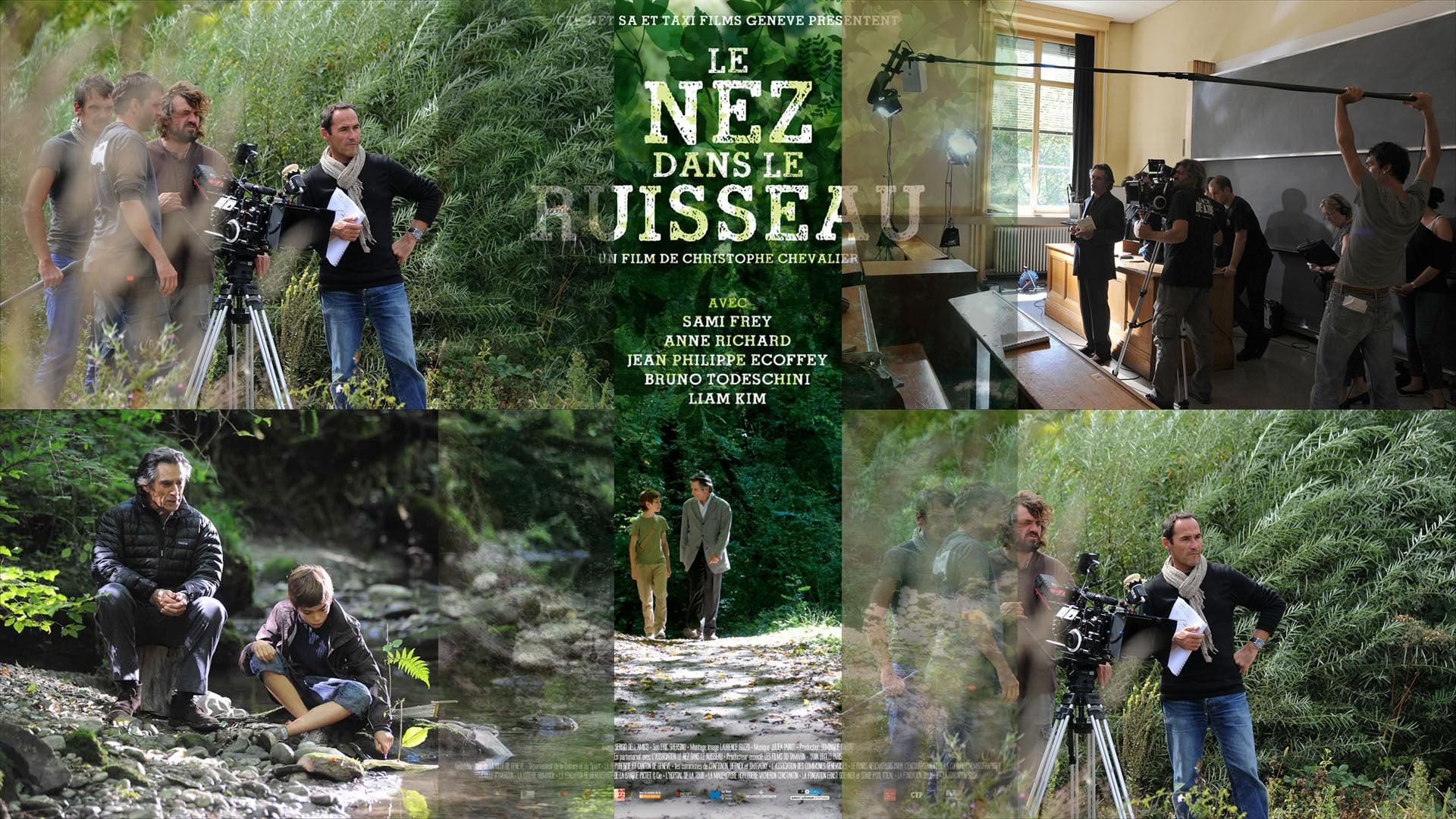 Le nez dans le ruisseau