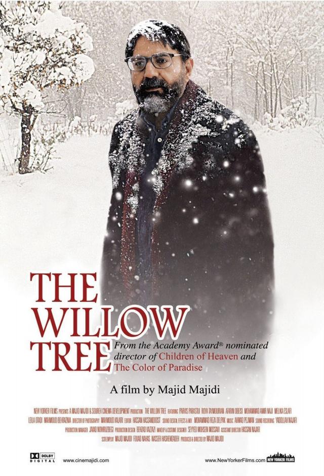 The Willow Tree