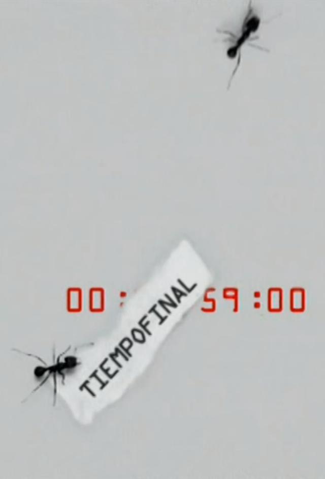 Final Minute