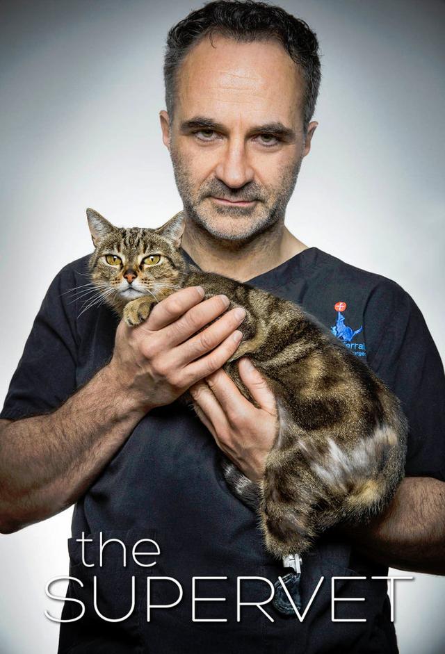 The Supervet: Noel Fitzpatrick