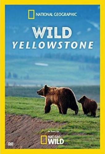 Wild Yellowstone