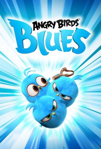 Angry Birds Blues