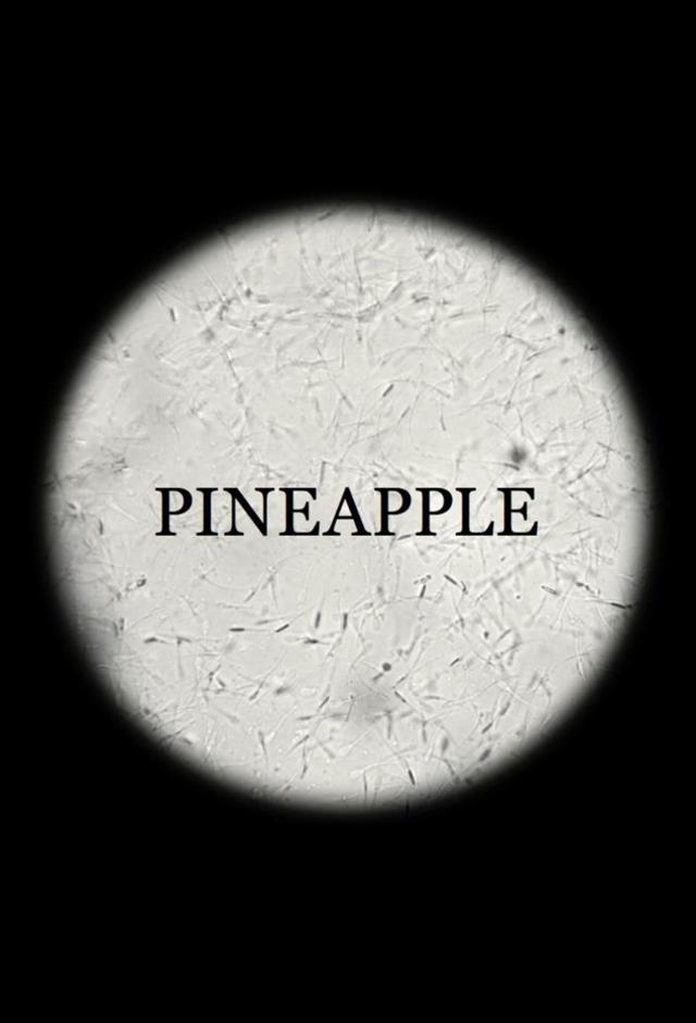 Pineapple