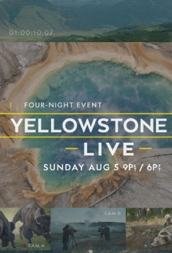 Yellowstone Live