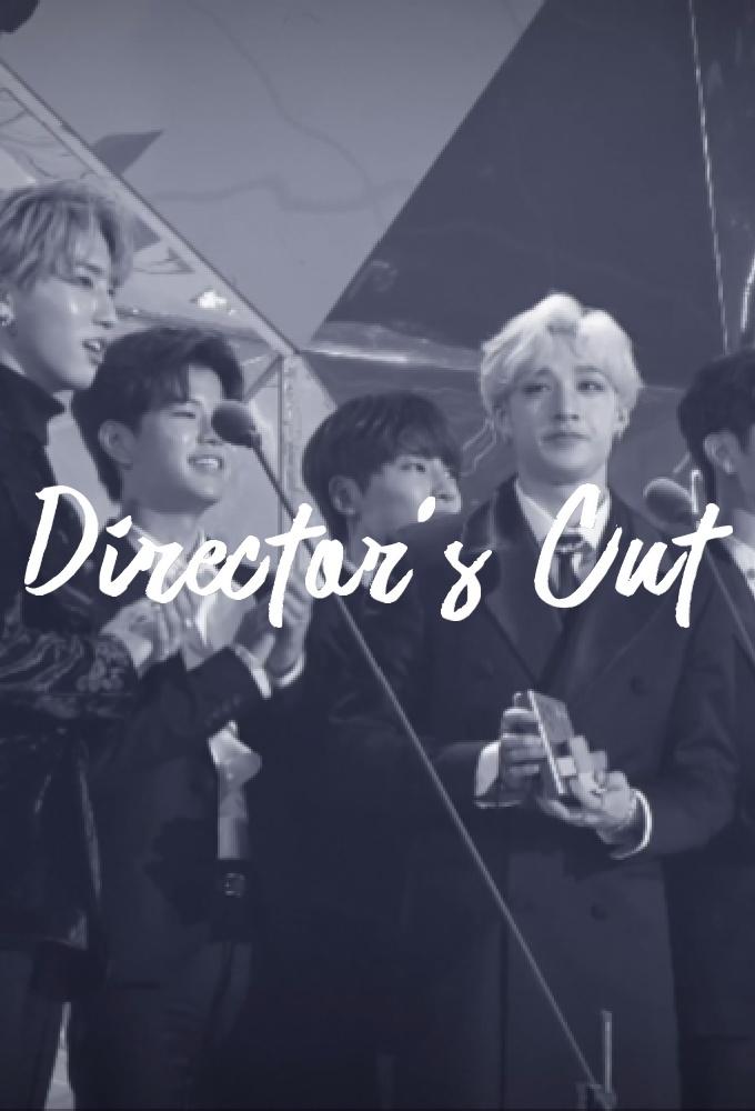 Stray Kids: Director's Cut