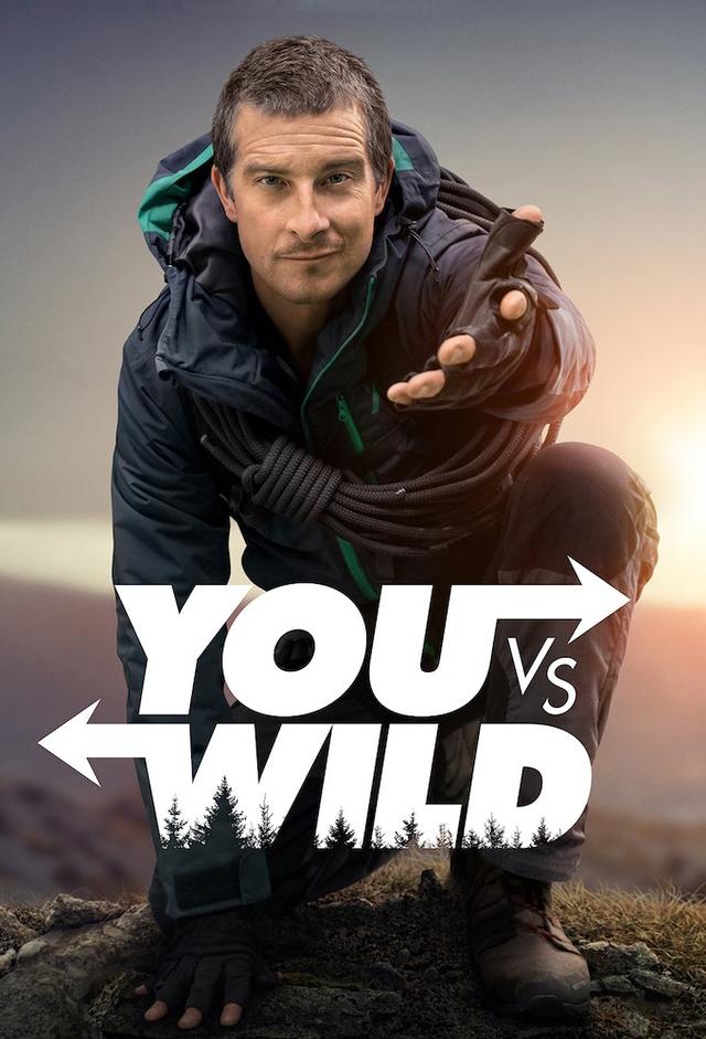 You vs. Wild