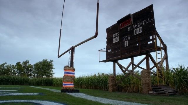 The Corn Field (1)