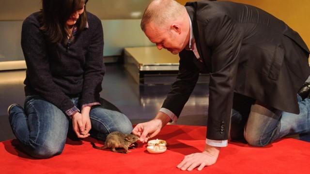 TV total Sendung vom 12.11.2015