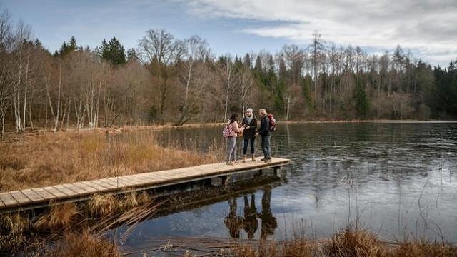 Wiedersehen am See