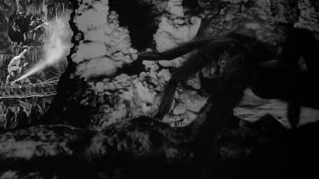 Earth vs. the Spider