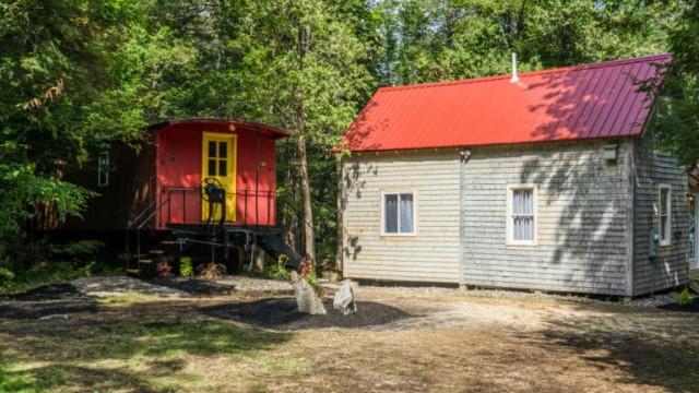 A Cabin in Training