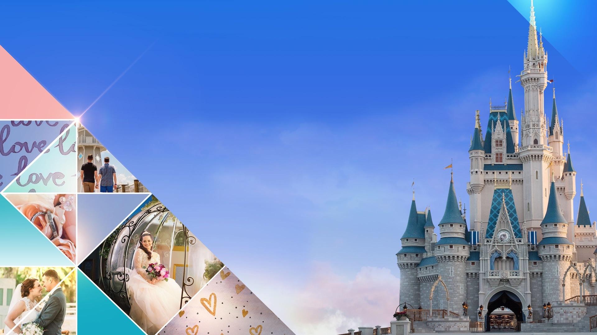 Disney's Fairy Tale Weddings