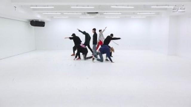 BTS '봄날 (Spring Day)' Dance Practice