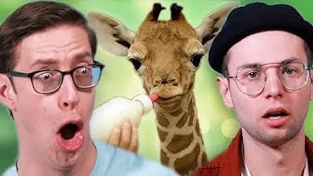 The Try Guys Watch Animal Births For The First Time