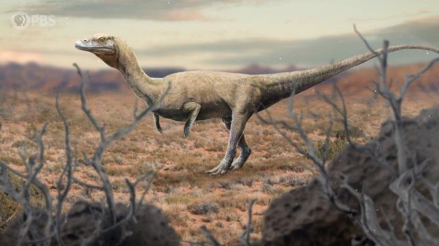 When Dinosaur Look-Alikes Ruled the Earth