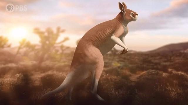 How Ancient Art Captured Australian Megafauna