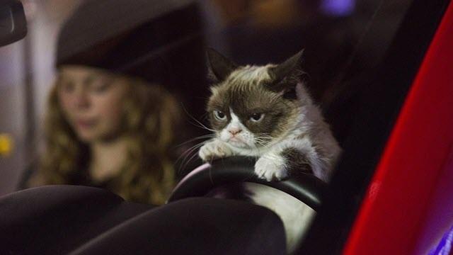 Grumpy Cat's Worst Christmas Ever