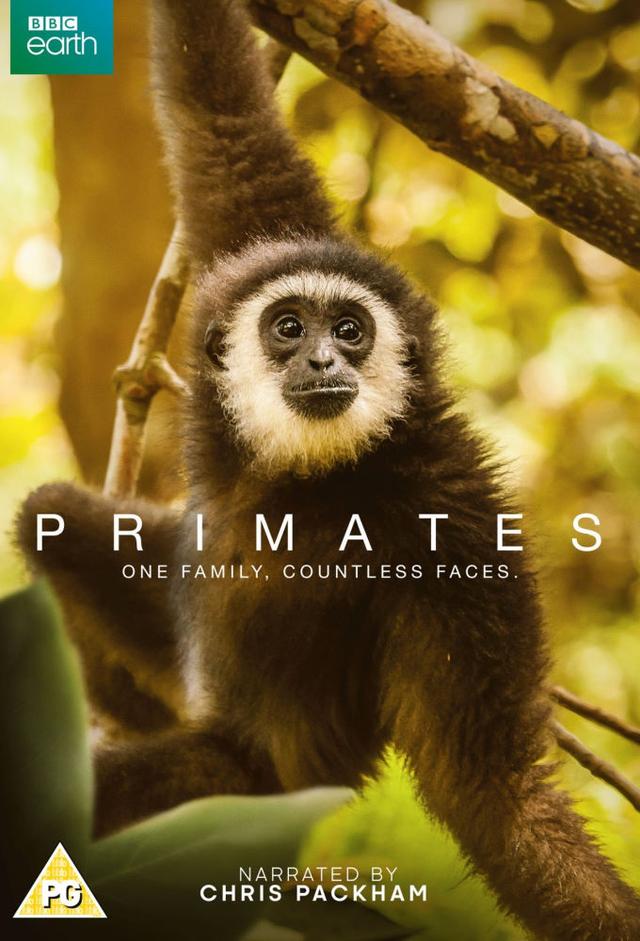 Primates