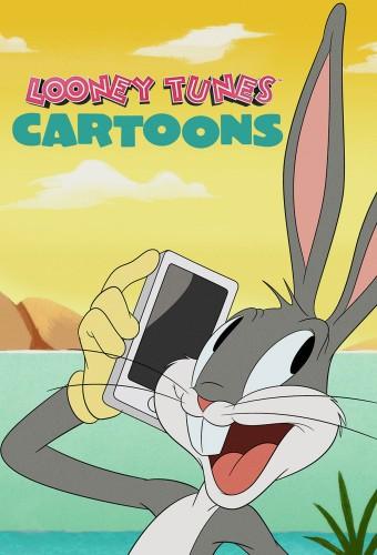 Looney Tunes Cartoons