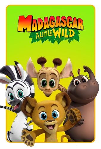 Madagascar: A Little Wild