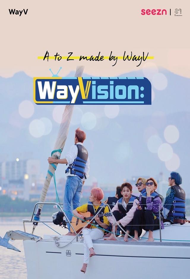 WayVision