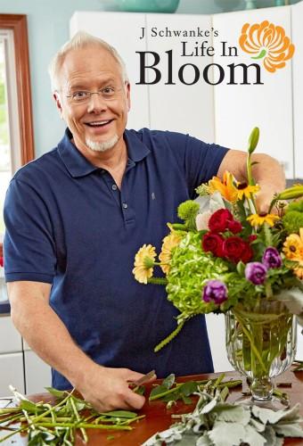 J Schwanke's Life In Bloom