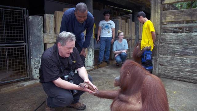 60 Minutes Presents: Whitaker’s Wildlife Tour