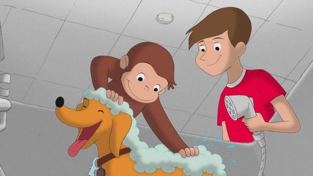 Curious George, Dog Groomer