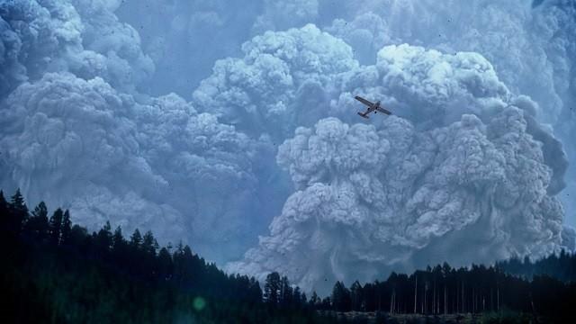 Surviving the Mount St. Helens' Disaster