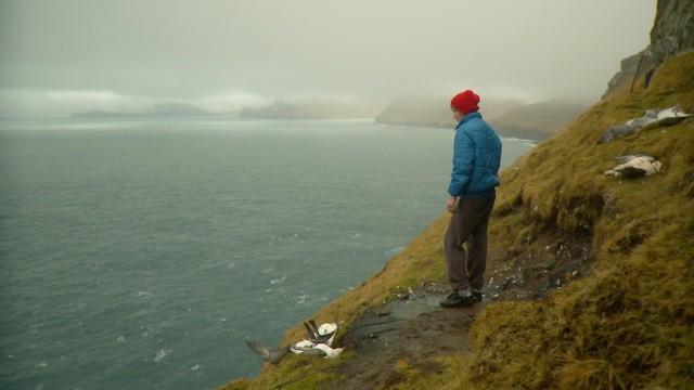 The Island and the Whales