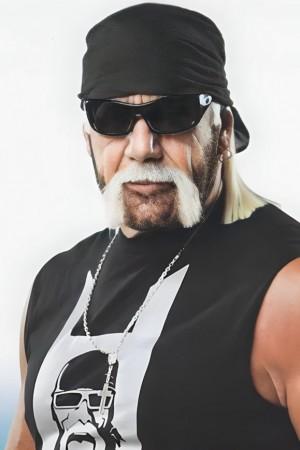 Picture of Terry Bollea