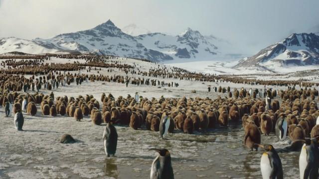 Terres de glace II: le Sud glacé